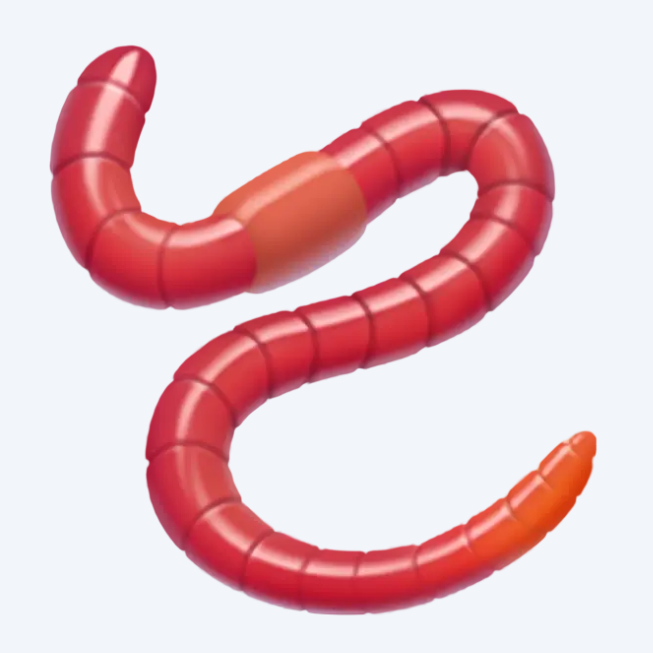 HD Worm Emoji